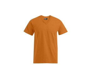 Men's-V-neck-T-shirt-Wordans