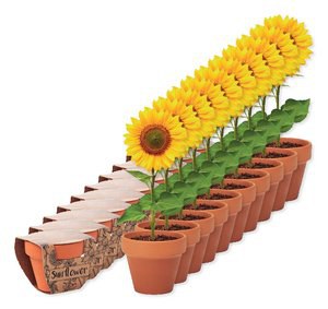 Pack of 100 GiftRetail MO6147 - SUNFLOWER Terracotta pot 'sunflower'